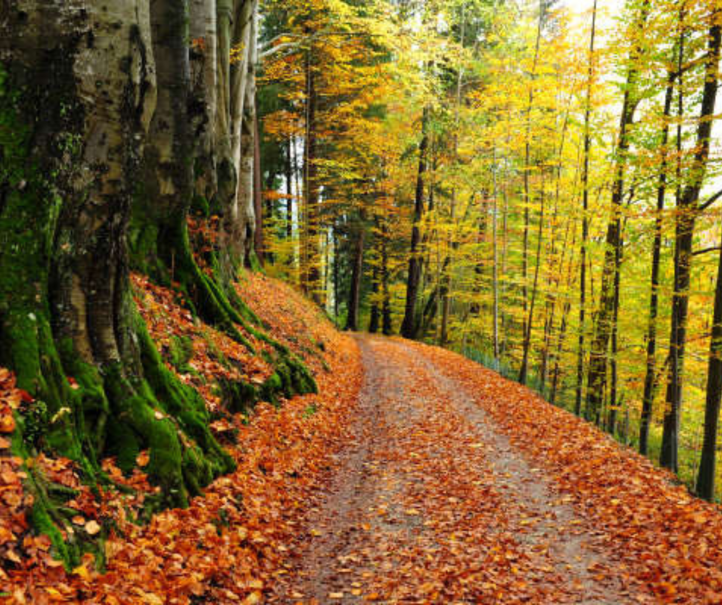 Vista dell'Hotel Giardino